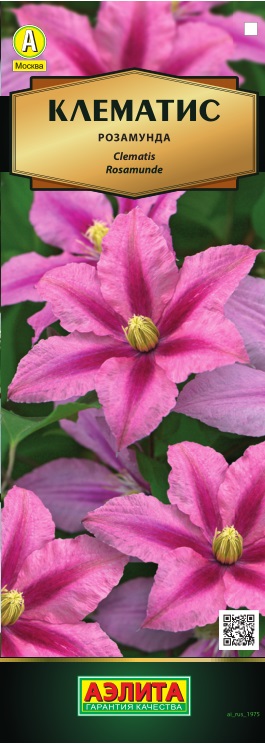 Клематис крупноцветковый Розамунда Агрофирма Аэлита